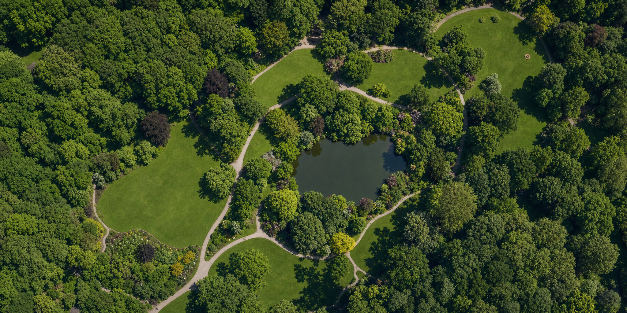Aerial view of a public park with tree canopies, lawns, paths and a small pond